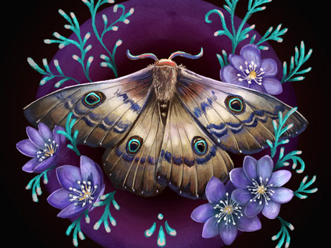 Ilustración.